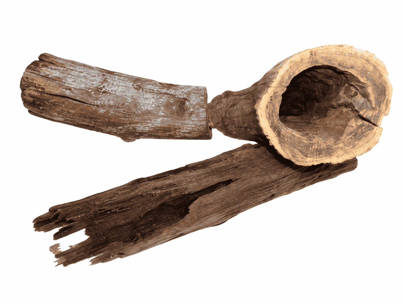 Lua Ong Wood - Madera Natural 20-30 cm para Acuario y Aquascaping, por Kilo (1 a 20 kg)