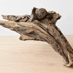 Raíz de madera erosionada sobre mesa clara