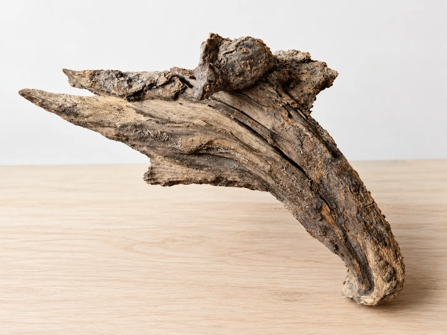 Troncos, rocas y decoración para acuarios