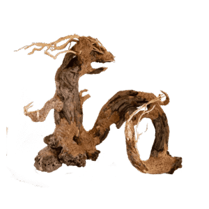 Bonsai Dragón - Bonsai de Madera para Acuario 30x35 cm