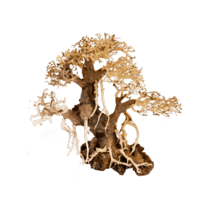 Bonsai Liana - Bonsai de Madera para Acuario 20x25 y 30x35 cm