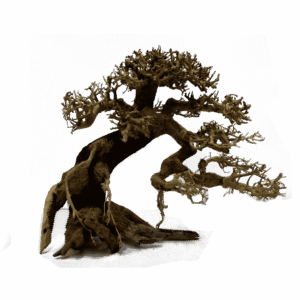 Bonsai Cascada Derecha - Bonsai de Madera para Acuario 30x35 cm