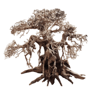 Bonsai Recto - Bonsai de Madera para Acuario 12x15, 20x25 y 30x35 cm