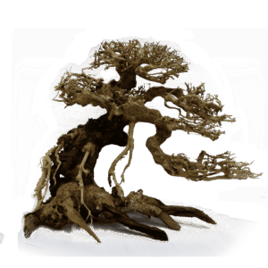 Bonsai Caída Derecha - Bonsai de Madera para Acuario 12x15, 20x25 y 30x35 cm