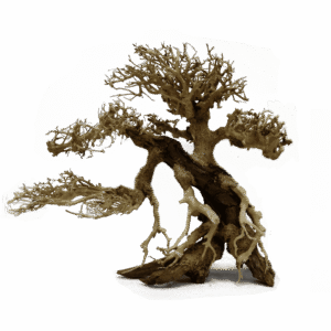 Bonsai Caída Izquierda - Bonsai de Madera para Acuario 12x15, 20x25 y 30x35 cm