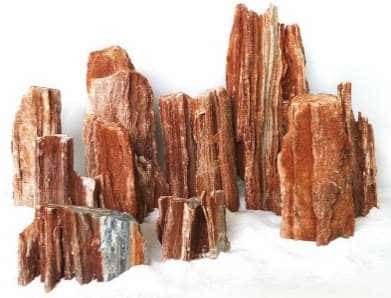 Red Wood Rock - Roca Madera Petrificada Roja para Acuario 15-25 cm, por Kilo (1 a 20 kg)