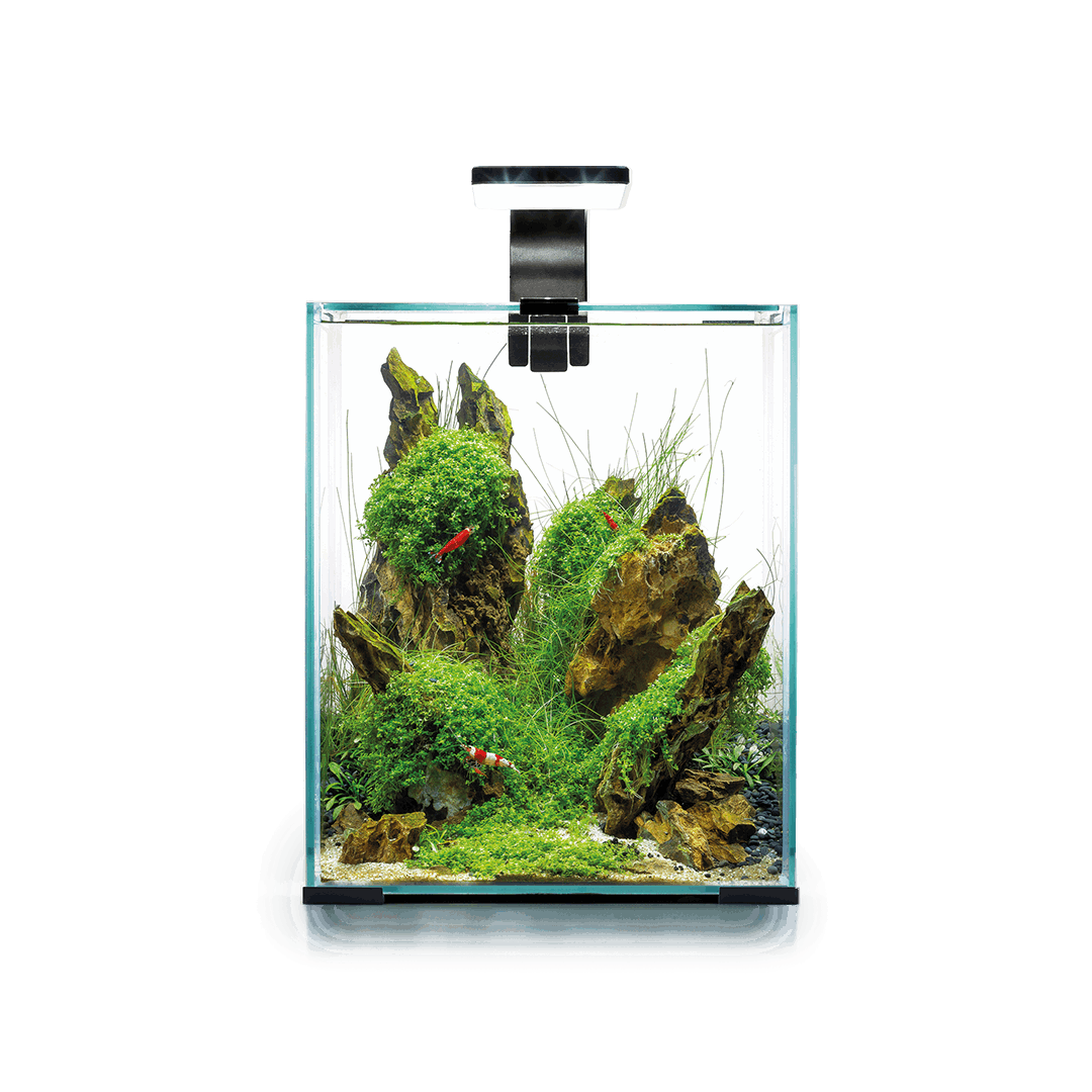 gambarios comprar online