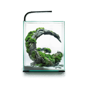 Shrimp Set D&N 30 Aquael - Gambario de 30 L con Luz Day & Night