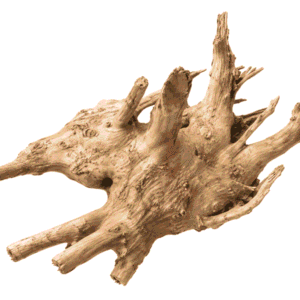 Thach As Wood - Raíz de Madera Natural para Acuario, por Kilo (1 a 20 kg)