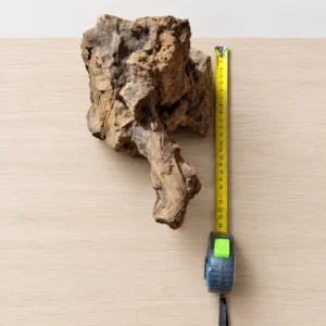 tronco de olivo curado para acuarios y terrarios