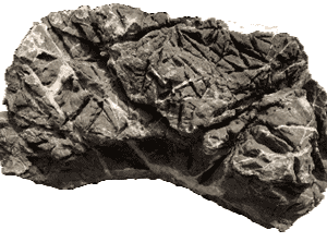 Turtle Rock - Roca Tortuga para Acuario y Aquascaping 20-40 cm, por Kilo (1 a 20 kg)