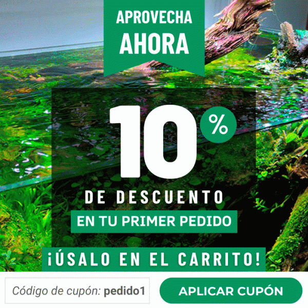 NUEVO-POPUP-INICIO